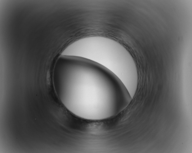 X0000090500700200707130949