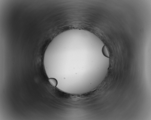 X0000090500703200707130949