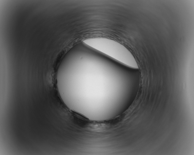 X0000090500712200707130949