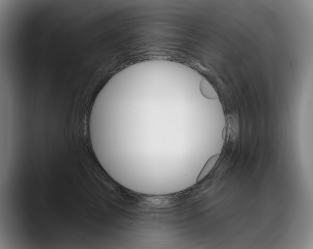 X0000090500713200707130949