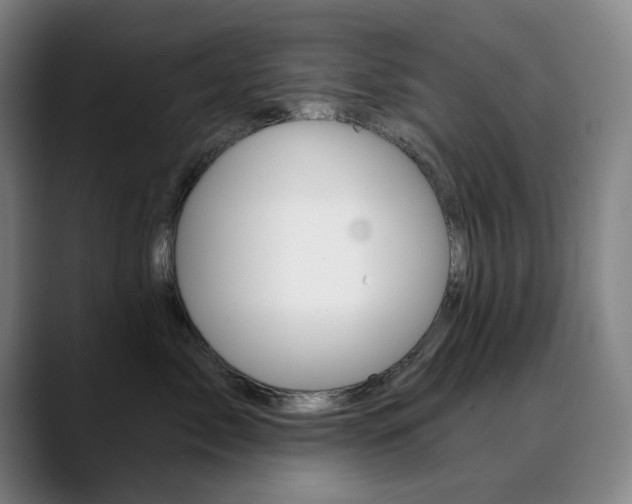 X0000090500717200707130949