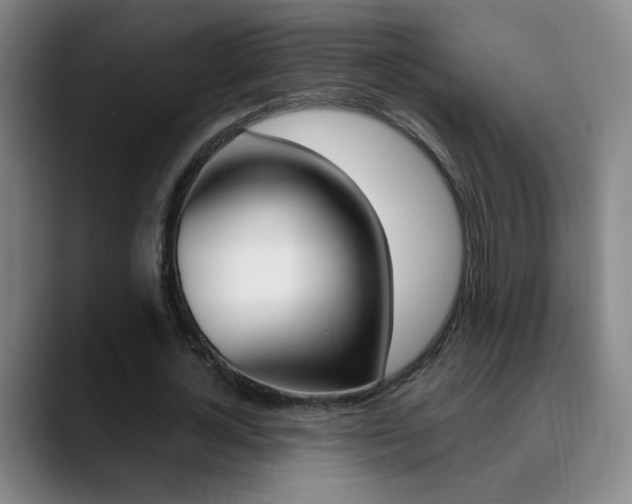 X0000090500724200707130948