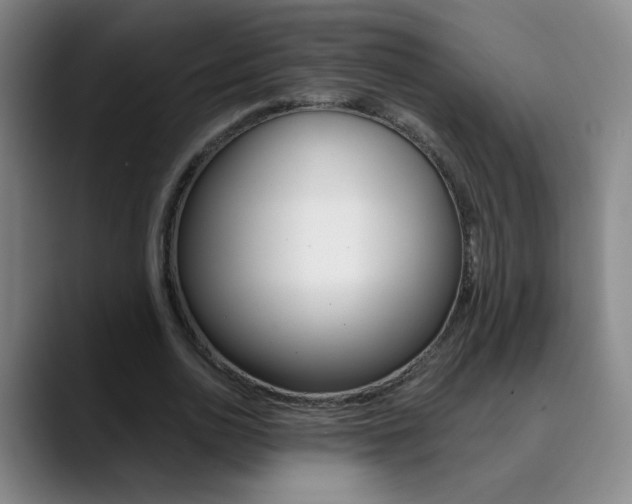 X0000090500726200707130949
