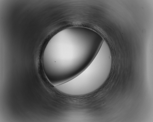 X0000090500728200707130949