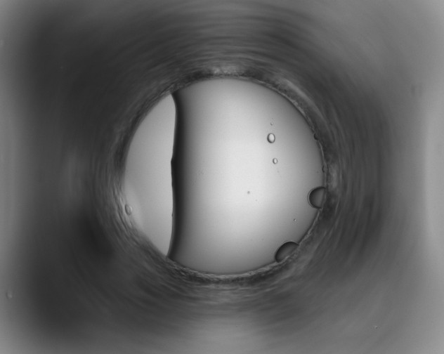 X0000090500733200707130949