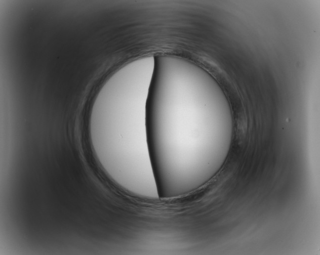 X0000090500734200707130949