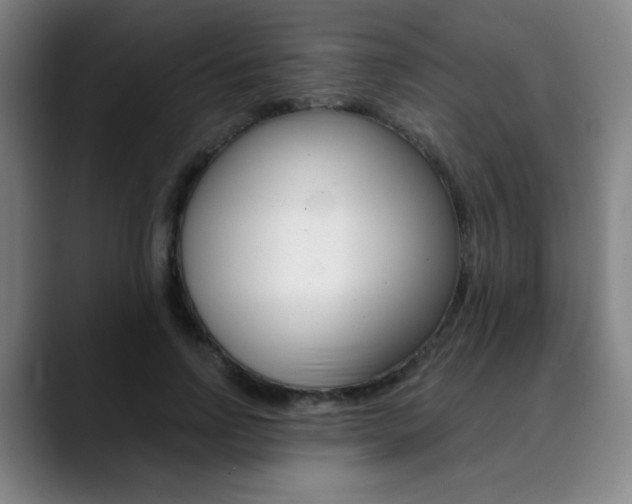 X0000090500742200707130949