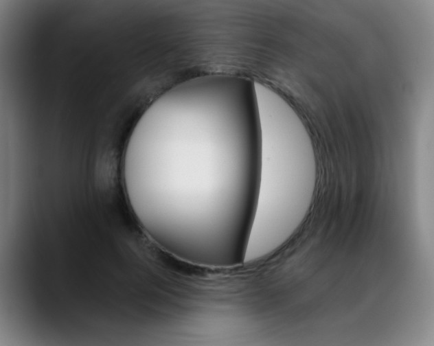 X0000090500744200707130949