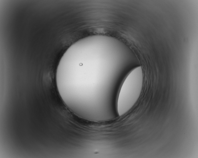 X0000090500747200707130949