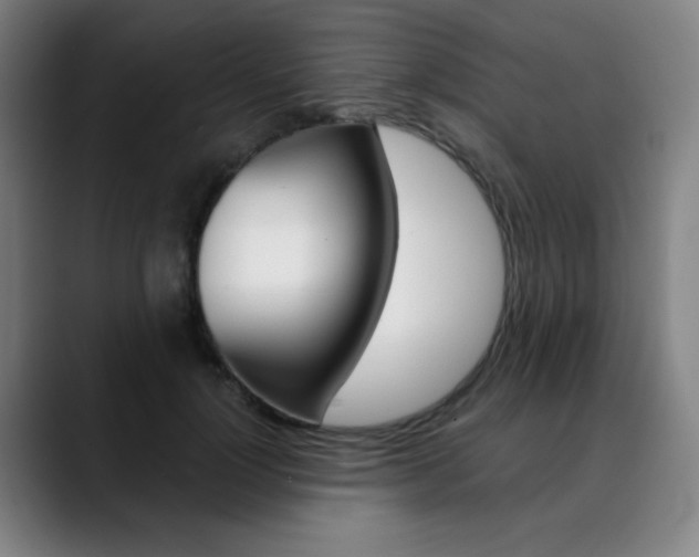 X0000090500748200707130949