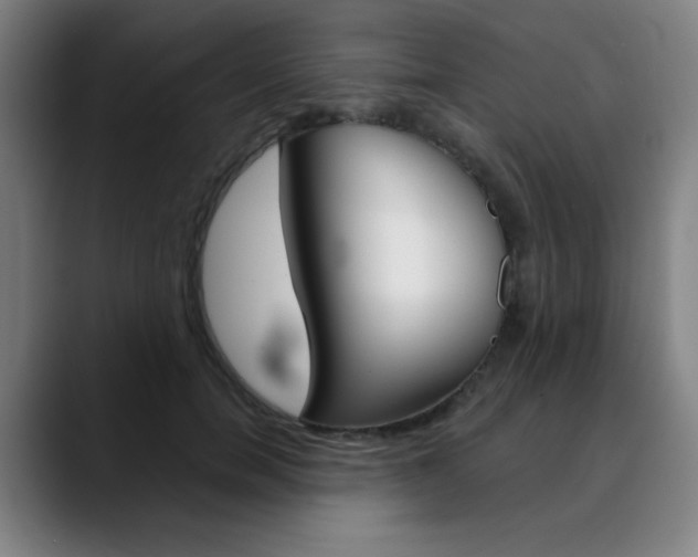 X0000090500750200707130949