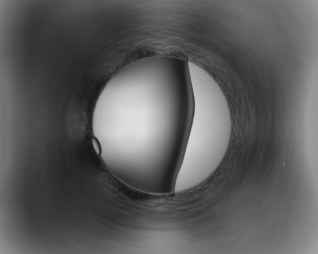 X0000090500752200707130949