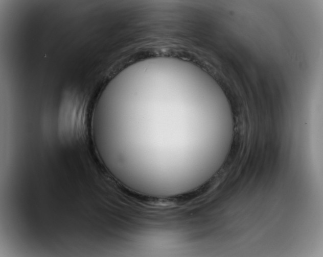 X0000090500754200707130949
