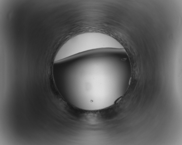 X0000090500756200707130949