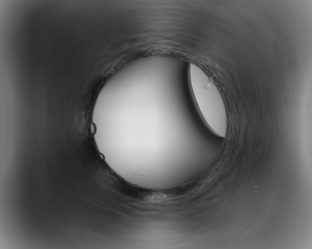 X0000090500759200707130949
