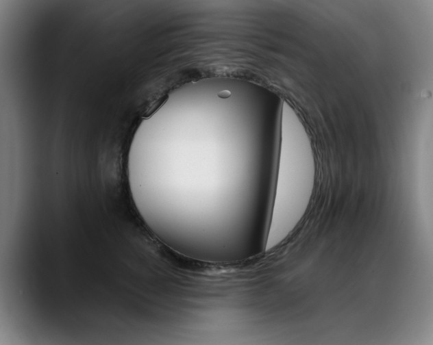 X0000090500760200707130949