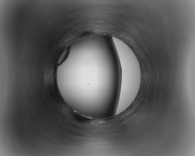 X0000090500762200707130949