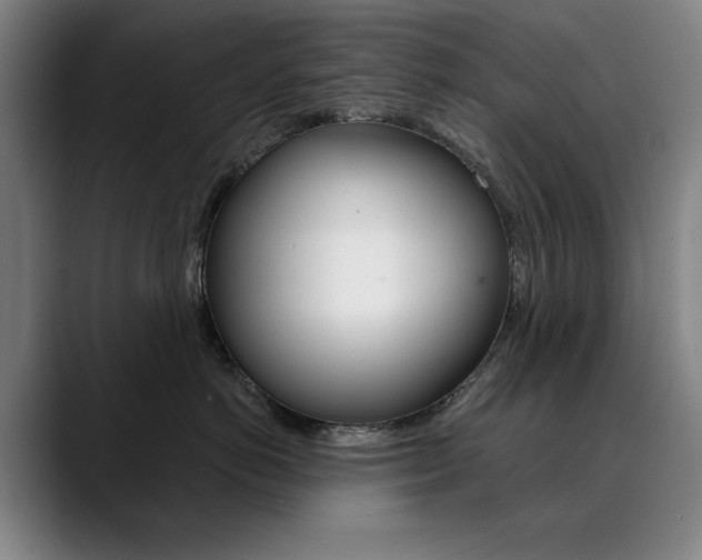 X0000090500766200707130949