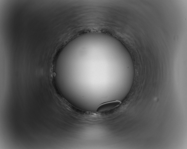 X0000090500768200707130949