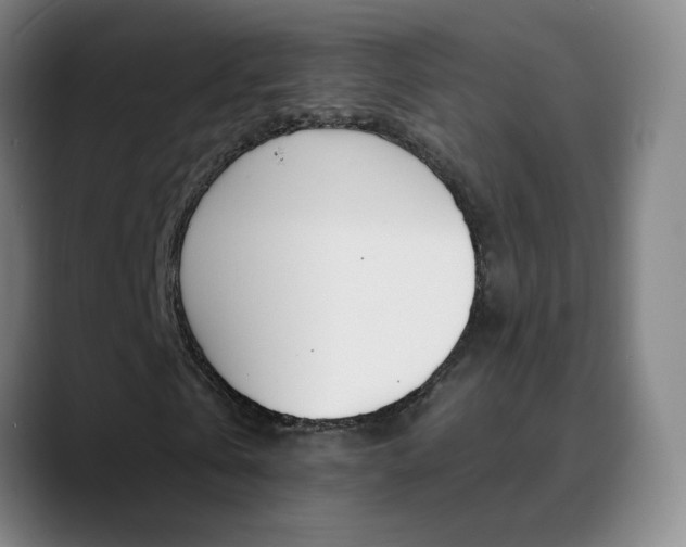 X0000090500769200707130948
