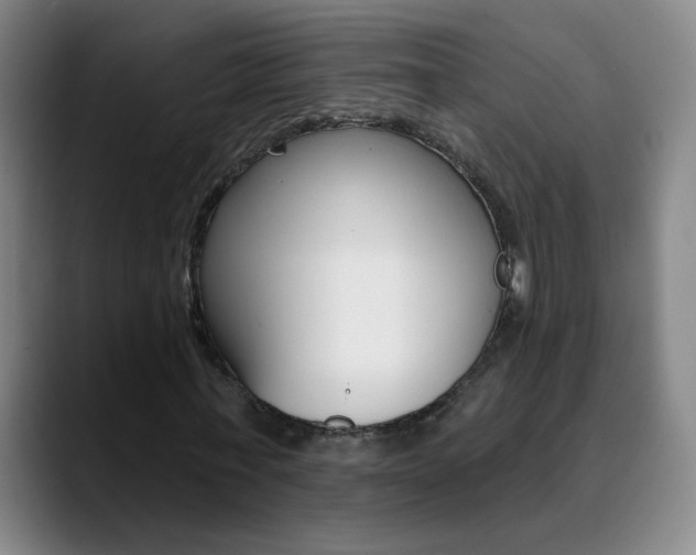 X0000090500771200707130948