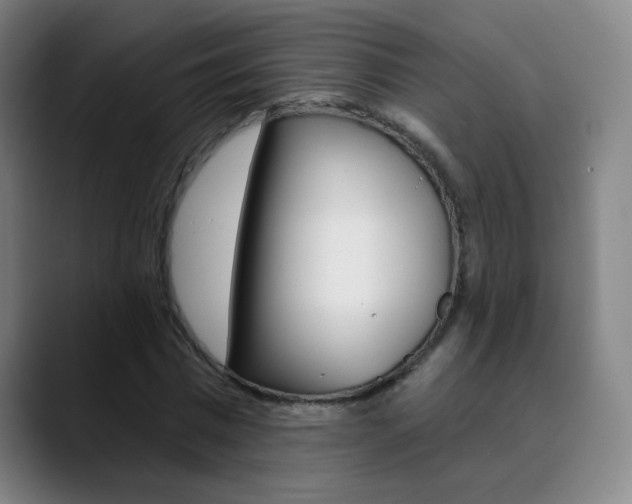 X0000090500777200707130948