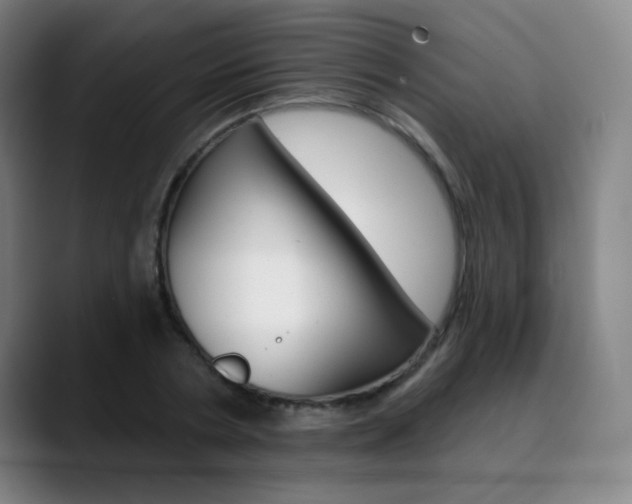 X0000090500786200707130948