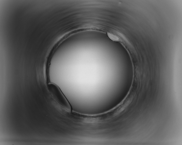 X0000090500788200707130948
