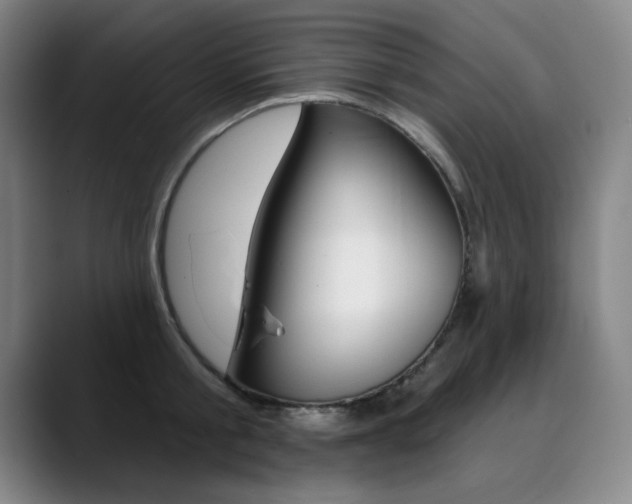 X0000090500805200707130948