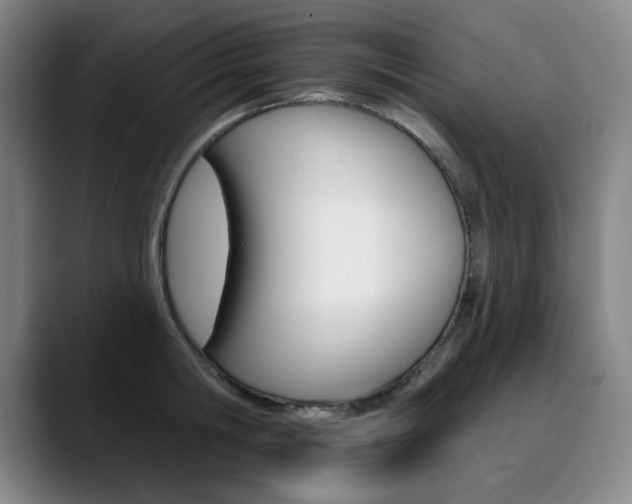 X0000090500806200707130948