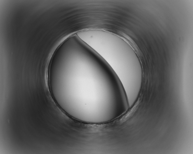 X0000090500812200707130948