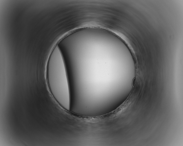 X0000090500815200707130948