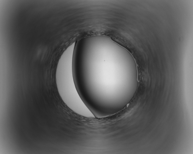 X0000090500818200707130947