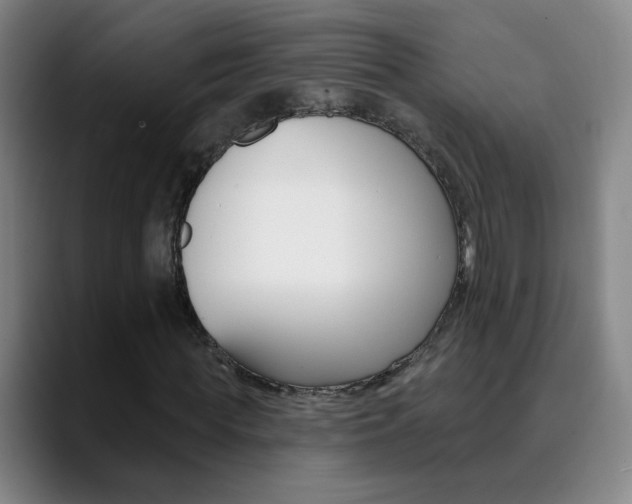 X0000090500819200707130947