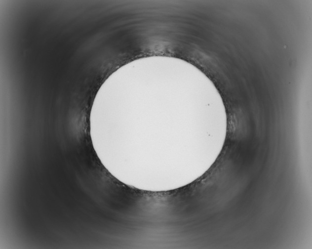 X0000090500820200707130947