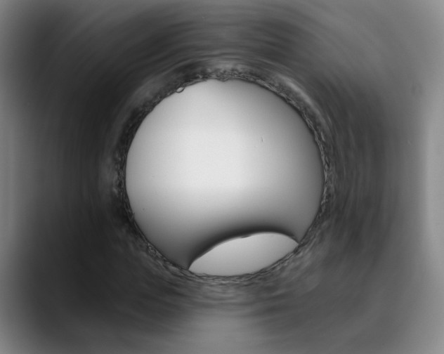 X0000090500823200707130947