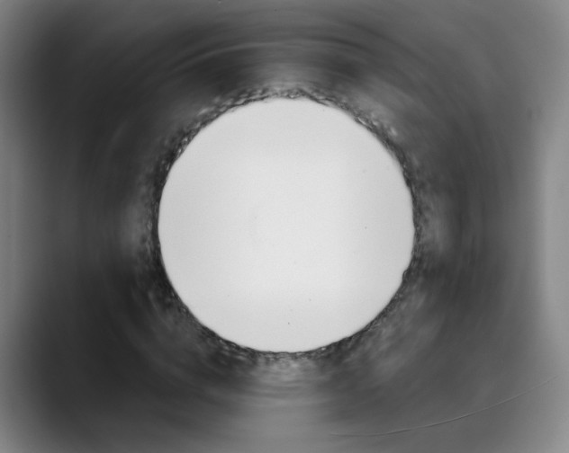 X0000090500824200707130947