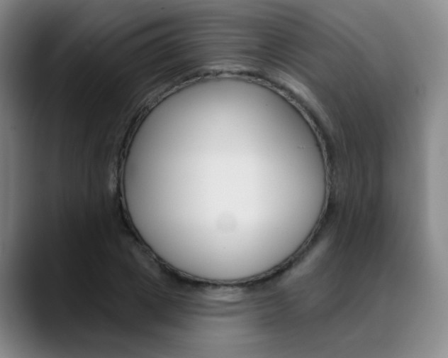 X0000090500833200707130948