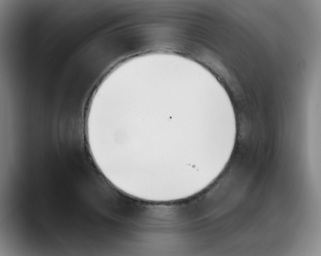 X0000090500836200707130948