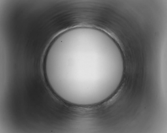 X0000090500838200707130948
