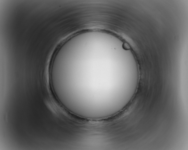 X0000090500840200707130948
