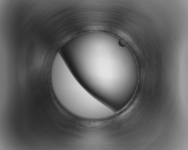 X0000090500841200707130948