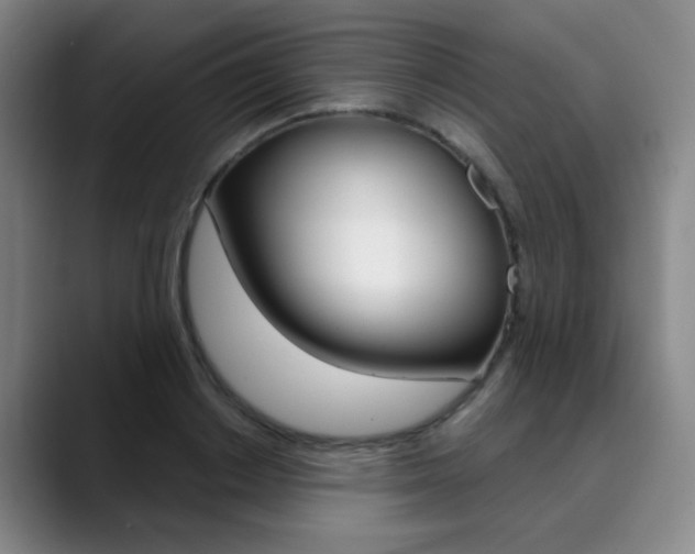 X0000090500842200707130948