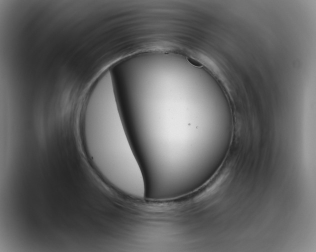 X0000090500843200707130948