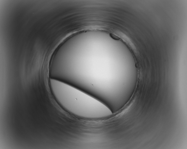 X0000090500844200707130948