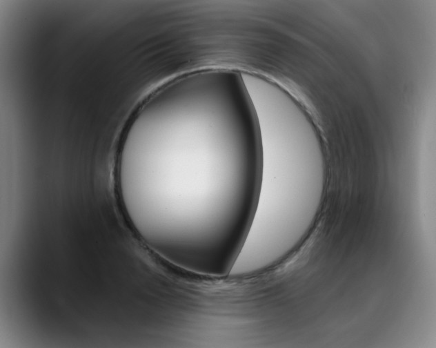 X0000090500846200707130948