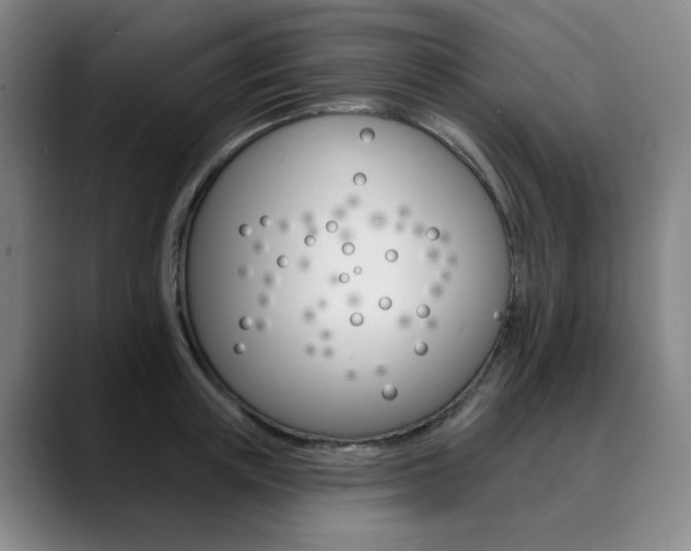 X0000090500851200707130948