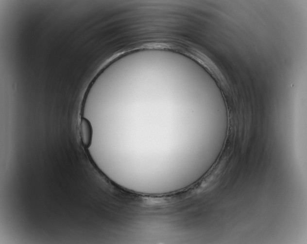 X0000090500852200707130948