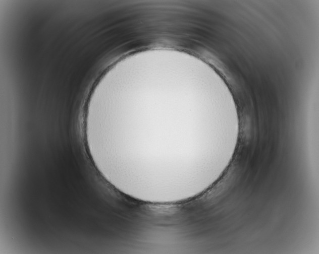 X0000090500856200707130948