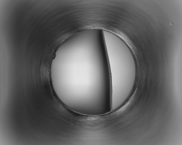X0000090500857200707130948